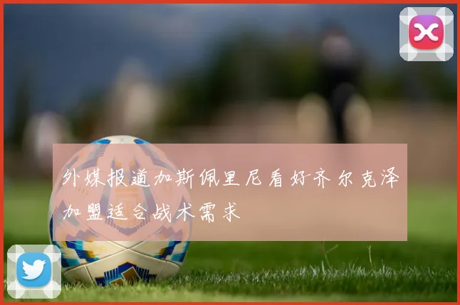 外媒报道加斯佩里尼看好齐尔克泽加盟适合战术需求