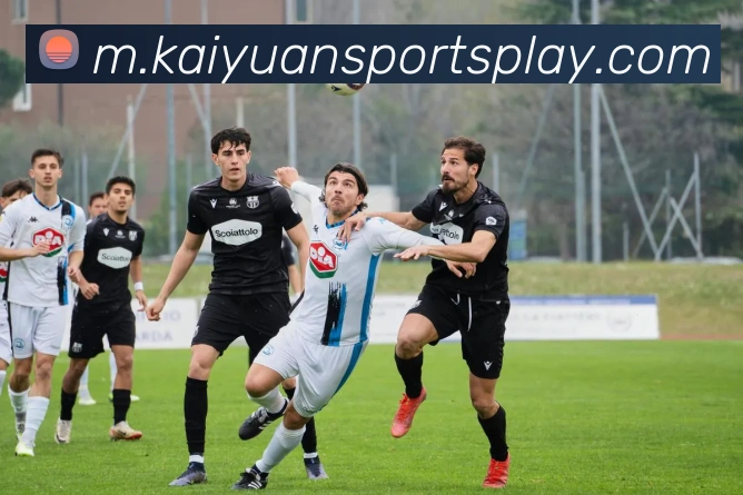 开元体育平台生态图