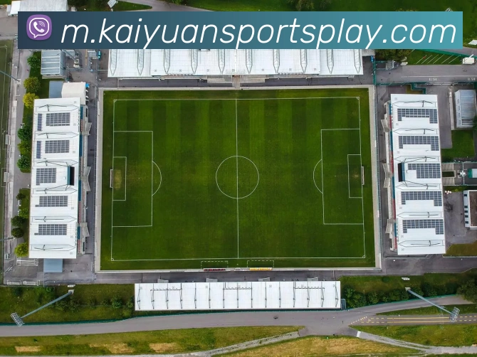 开元体育APP 封面图